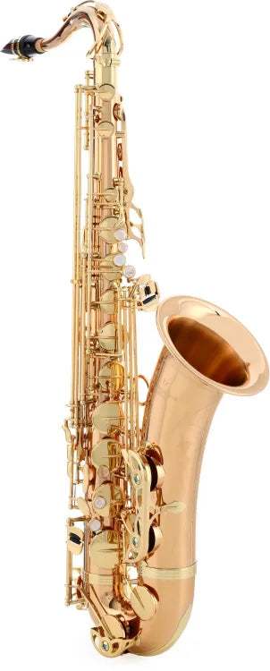 Yanagisawa TW02 Professional Tenor Saxophone - Bronze