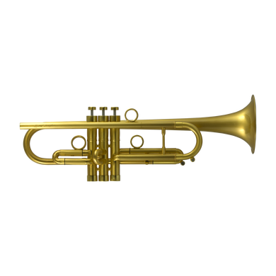 JP by Taylor pro Bb Trumpet